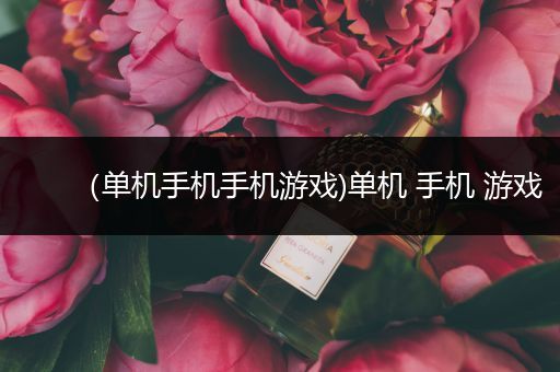 （单机手机手机游戏)单机 手机 游戏