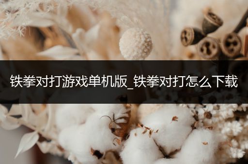 铁拳对打游戏单机版_铁拳对打怎么下载