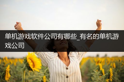 单机游戏软件公司有哪些_有名的单机游戏公司
