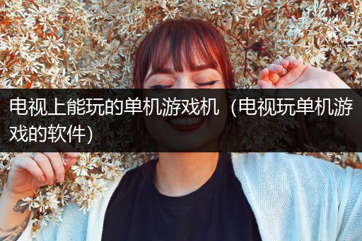 电视上能玩的单机游戏机（电视玩单机游戏的软件）