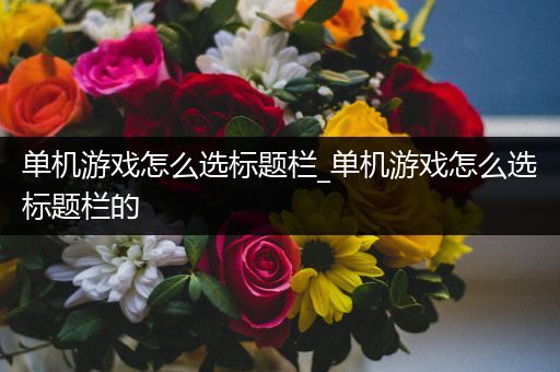 单机游戏怎么选标题栏_单机游戏怎么选标题栏的