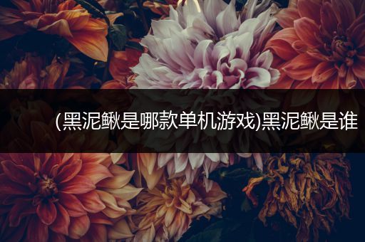 （黑泥鳅是哪款单机游戏)黑泥鳅是谁