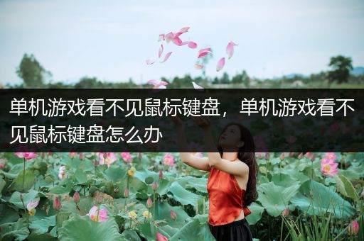 单机游戏看不见鼠标键盘，单机游戏看不见鼠标键盘怎么办