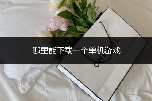 哪里能下载一个单机游戏