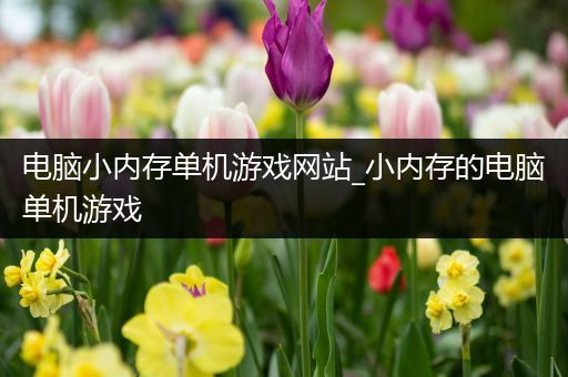 电脑小内存单机游戏网站_小内存的电脑单机游戏