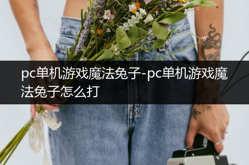 pc单机游戏魔法兔子-pc单机游戏魔法兔子怎么打