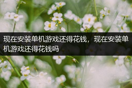 现在安装单机游戏还得花钱，现在安装单机游戏还得花钱吗