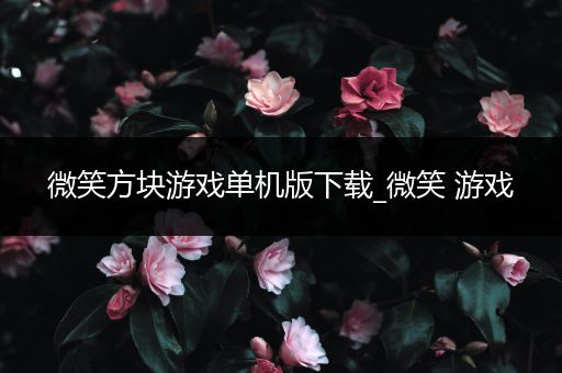 微笑方块游戏单机版下载_微笑 游戏