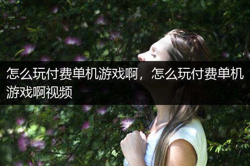 怎么玩付费单机游戏啊，怎么玩付费单机游戏啊视频
