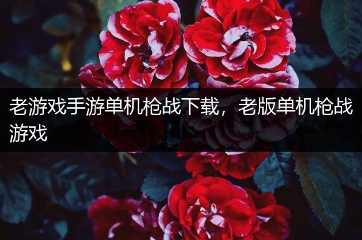 老游戏手游单机枪战下载，老版单机枪战游戏