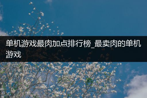 单机游戏最肉加点排行榜_最卖肉的单机游戏
