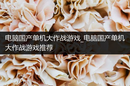 电脑国产单机大作战游戏_电脑国产单机大作战游戏推荐