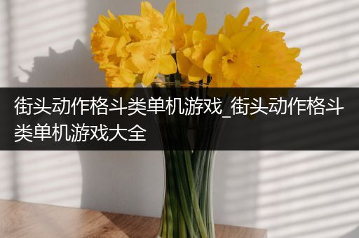 街头动作格斗类单机游戏_街头动作格斗类单机游戏大全
