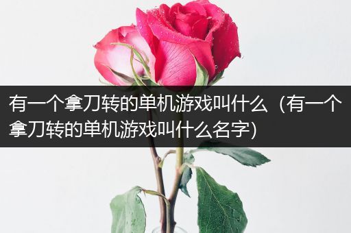 有一个拿刀转的单机游戏叫什么（有一个拿刀转的单机游戏叫什么名字）