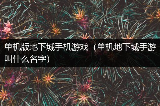 单机版地下城手机游戏（单机地下城手游叫什么名字）