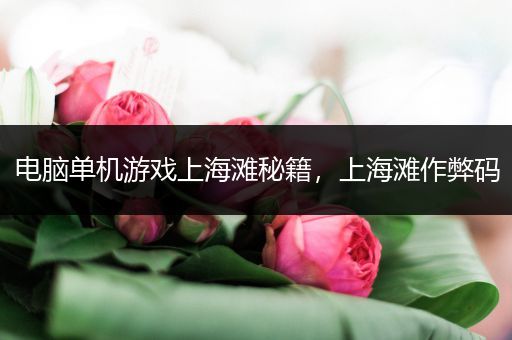 电脑单机游戏上海滩秘籍，上海滩作弊码