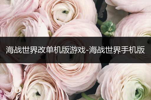 海战世界改单机版游戏-海战世界手机版