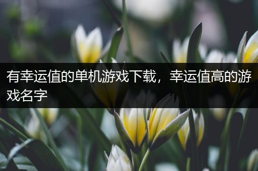 有幸运值的单机游戏下载，幸运值高的游戏名字