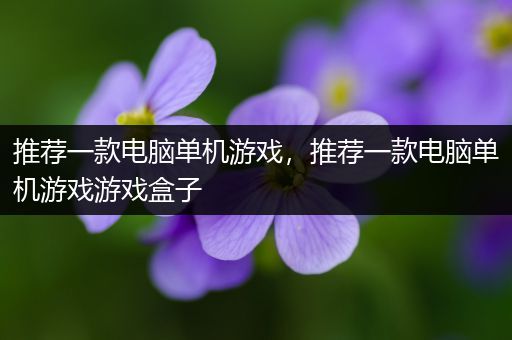 推荐一款电脑单机游戏，推荐一款电脑单机游戏游戏盒子