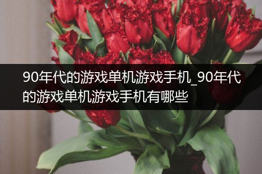 90年代的游戏单机游戏手机_90年代的游戏单机游戏手机有哪些