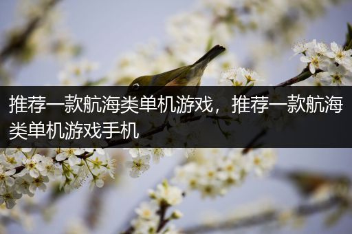 推荐一款航海类单机游戏，推荐一款航海类单机游戏手机