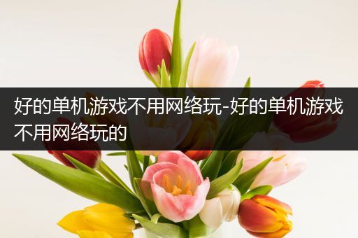 好的单机游戏不用网络玩-好的单机游戏不用网络玩的