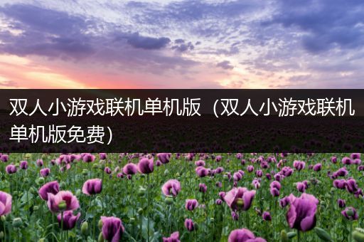 双人小游戏联机单机版（双人小游戏联机单机版免费）