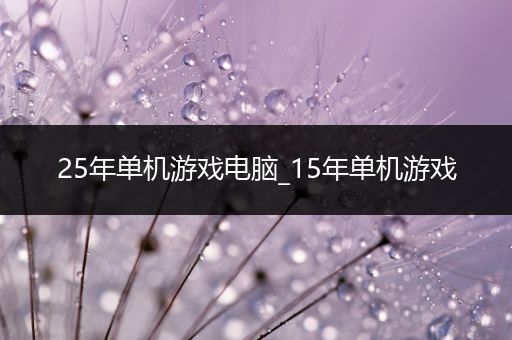 25年单机游戏电脑_15年单机游戏