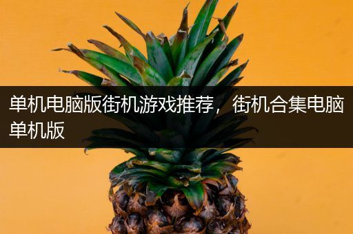 单机电脑版街机游戏推荐，街机合集电脑单机版