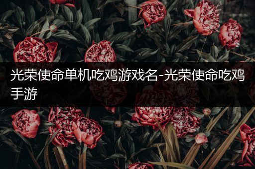 光荣使命单机吃鸡游戏名-光荣使命吃鸡手游