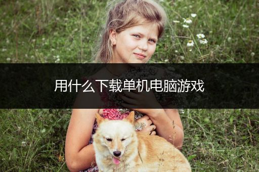 用什么下载单机电脑游戏