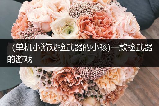 （单机小游戏捡武器的小孩)一款捡武器的游戏