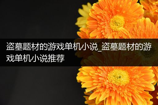 盗墓题材的游戏单机小说_盗墓题材的游戏单机小说推荐