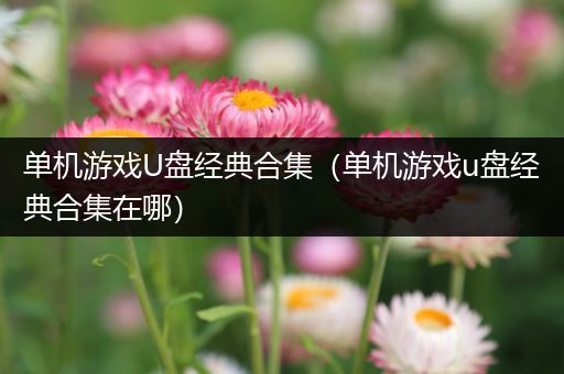 单机游戏U盘经典合集（单机游戏u盘经典合集在哪）