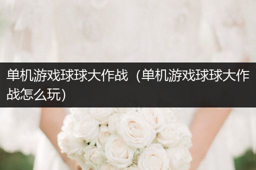 单机游戏球球大作战（单机游戏球球大作战怎么玩）