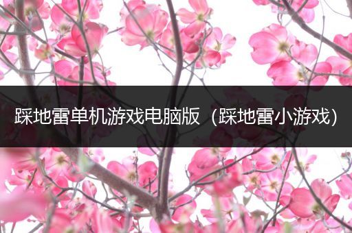 踩地雷单机游戏电脑版（踩地雷小游戏）