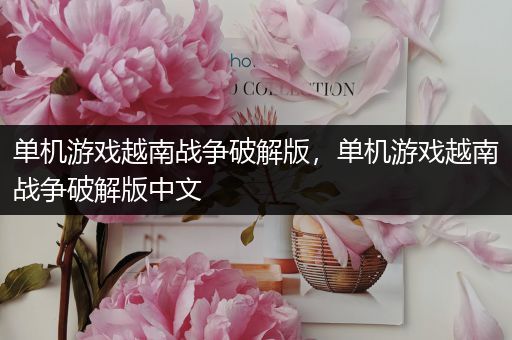 单机游戏越南战争破解版，单机游戏越南战争破解版中文
