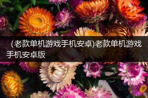 （老款单机游戏手机安卓)老款单机游戏手机安卓版