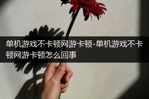 单机游戏不卡顿网游卡顿-单机游戏不卡顿网游卡顿怎么回事