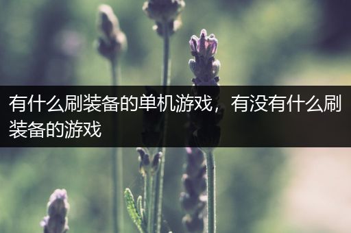 有什么刷装备的单机游戏，有没有什么刷装备的游戏