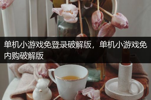 单机小游戏免登录破解版，单机小游戏免内购破解版