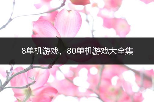 8单机游戏，80单机游戏大全集