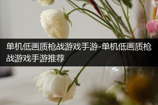 单机低画质枪战游戏手游-单机低画质枪战游戏手游推荐