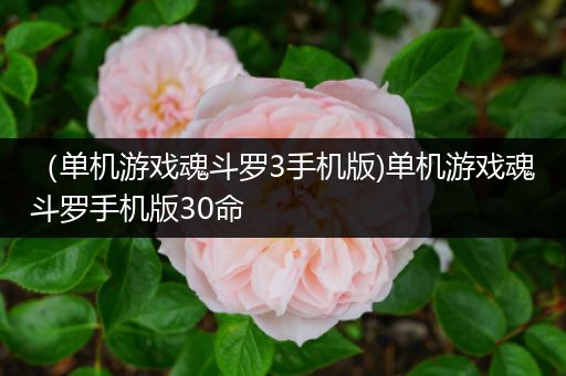 （单机游戏魂斗罗3手机版)单机游戏魂斗罗手机版30命