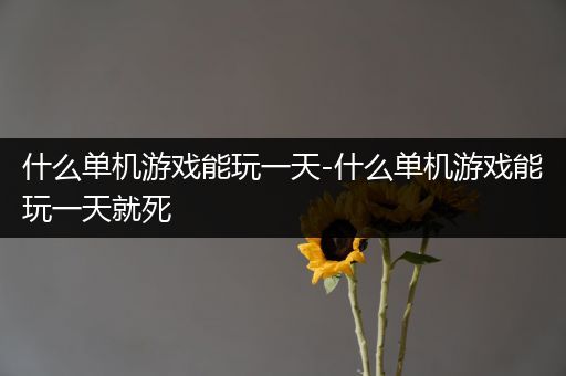 什么单机游戏能玩一天-什么单机游戏能玩一天就死