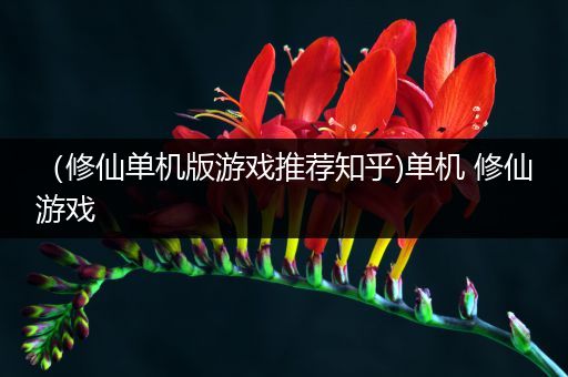 （修仙单机版游戏推荐知乎)单机 修仙游戏