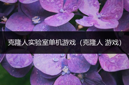 克隆人实验室单机游戏（克隆人 游戏）