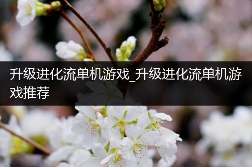 升级进化流单机游戏_升级进化流单机游戏推荐