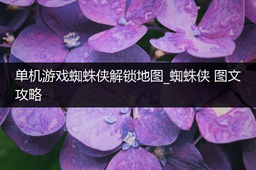 单机游戏蜘蛛侠解锁地图_蜘蛛侠 图文攻略