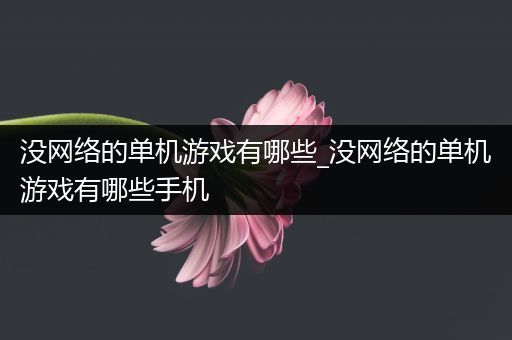 没网络的单机游戏有哪些_没网络的单机游戏有哪些手机